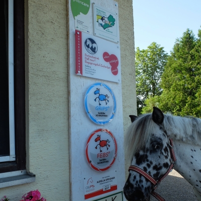 dscf65738D96FFB7-7DBD-9620-12D3-36EBC4DECED1.jpg