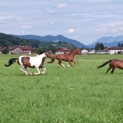 freizeit-3FCE7A64F-6B08-2E57-E92A-E107B1463FA6.jpg