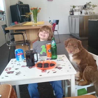 hunde-1AC887C6A-048F-4012-4708-B5512D1EE2DC.jpg