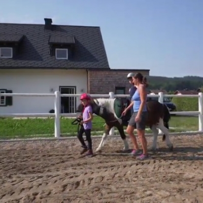 video-lang70C6B020-2765-1DAA-17AF-2B358E82F231.jpg